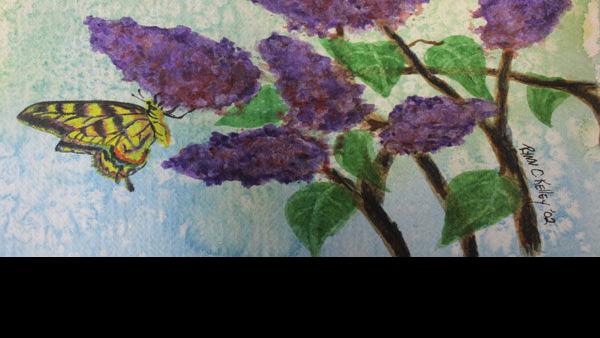 Dancing Watercolor Classes Offered At Uw Bc Arts Apg Wi Com