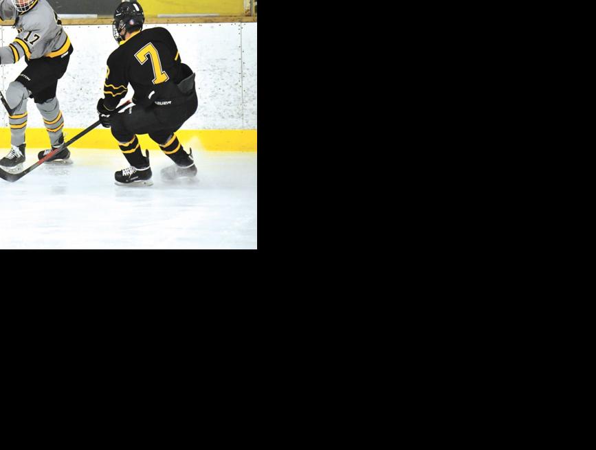 Four Canes hockey players get AllState honors Free