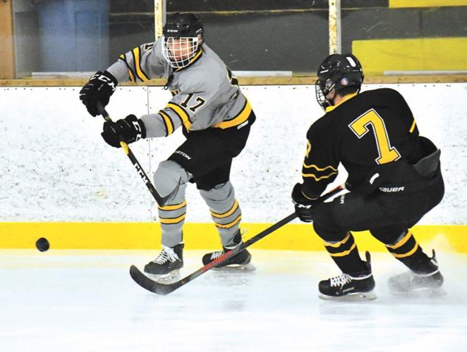 Blake Loder Four Canes hockey players get All-State honors | Free | apg-wi.com