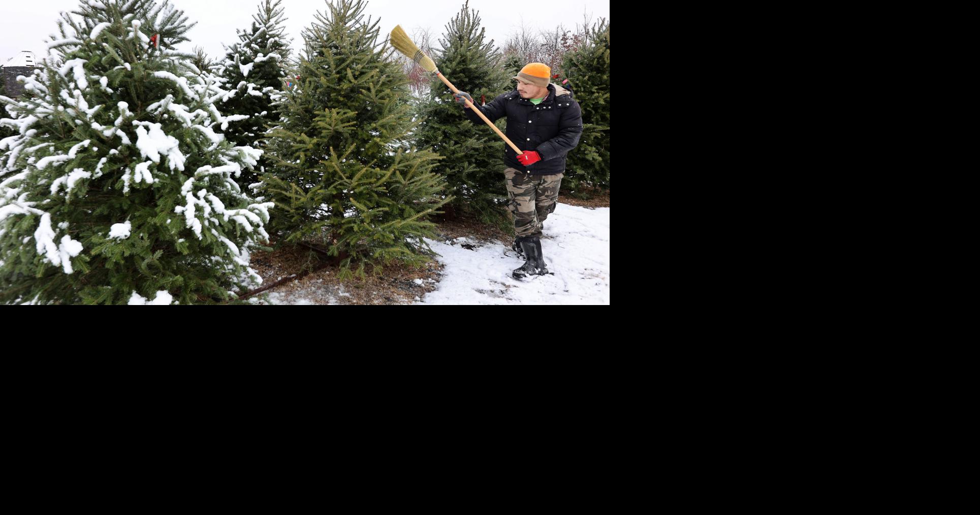 AccuWeather's white Christmas forecast 2021 Subscriber