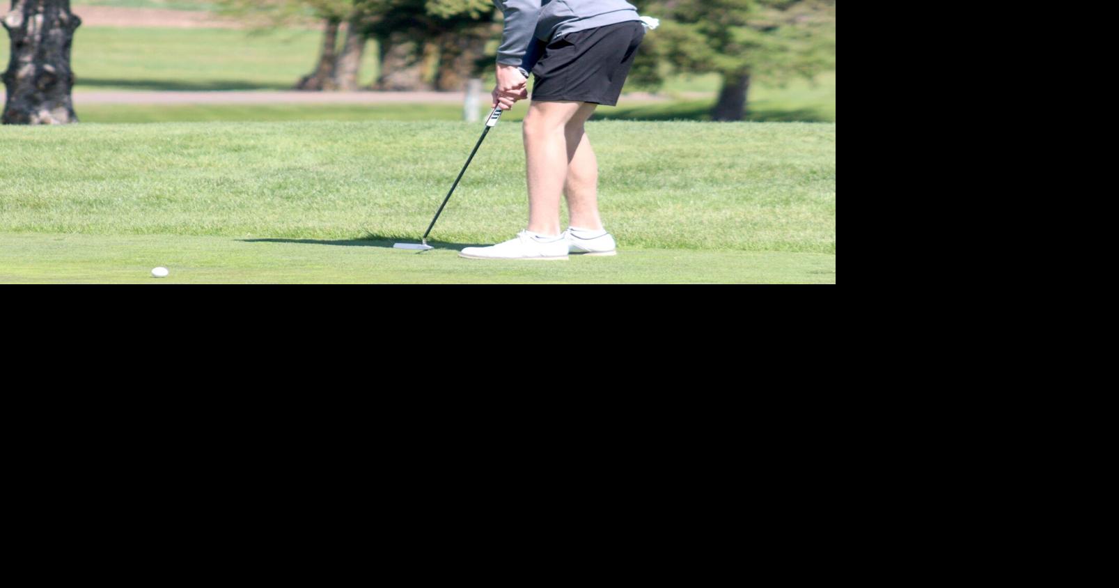 Golf: Rice Lake has 4 earn all-conference honors following BRC ...