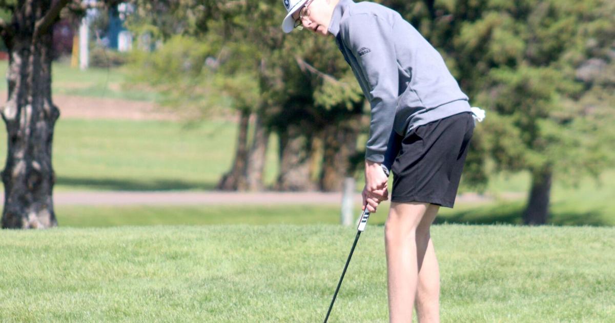 Golf Rice Golf: Rice Lake has 4 earn all-conference honors following BRC ...
