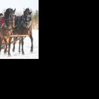 Annual Sleigh and Cutter Rally Saturday at NGLVC | Subscriber | apg-wi.com