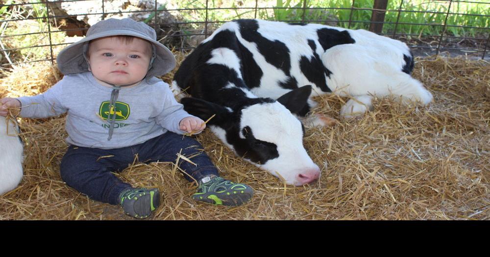 Barron County Dairy Breakfast feeds 3,175 people Rice Lake Chronotype