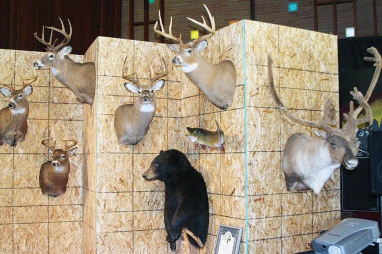 Ogema game feed, expo draws big crowd News
