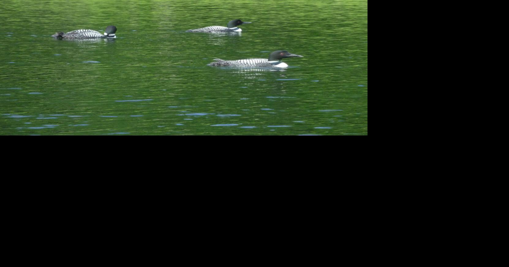 Fishing the Sawmill Lake Outdoors