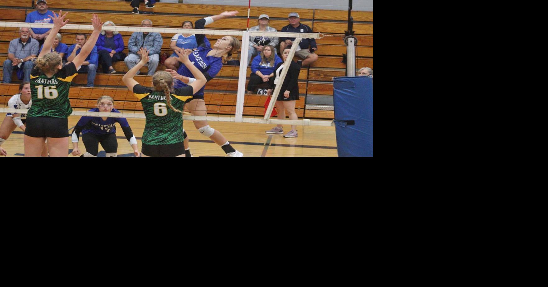 Prep volleyball Cameron's Pearson named to Heart O' North All