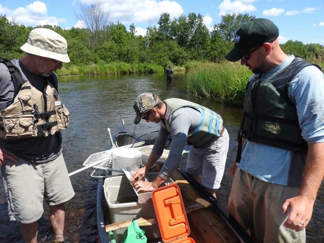 Natural Connections Enjoying a fishy day on the Couderay River Free