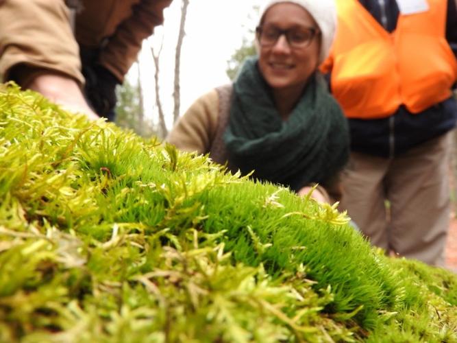 Natural Connections Discovering The Variety And Beauty Of Moss Free Apg Wi Com