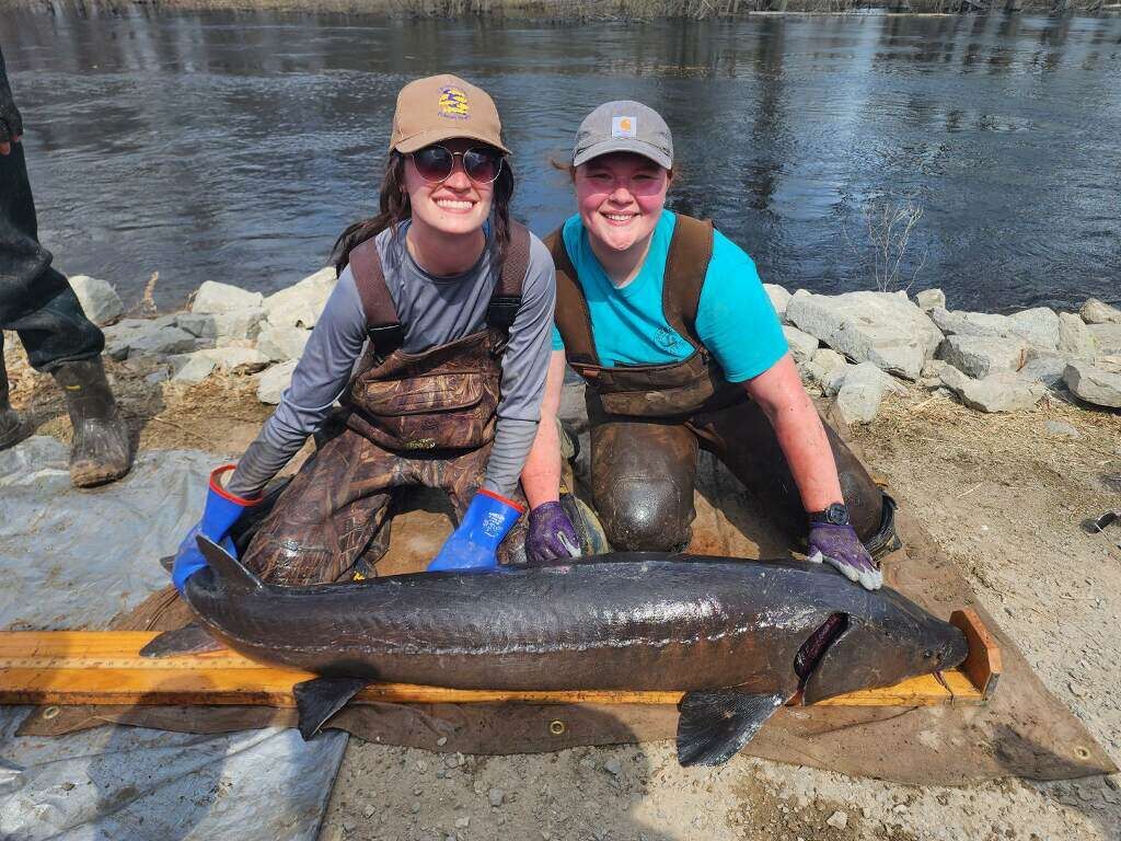 An Outdoorsman s Journal Getting fishy in Arizona Outdoors