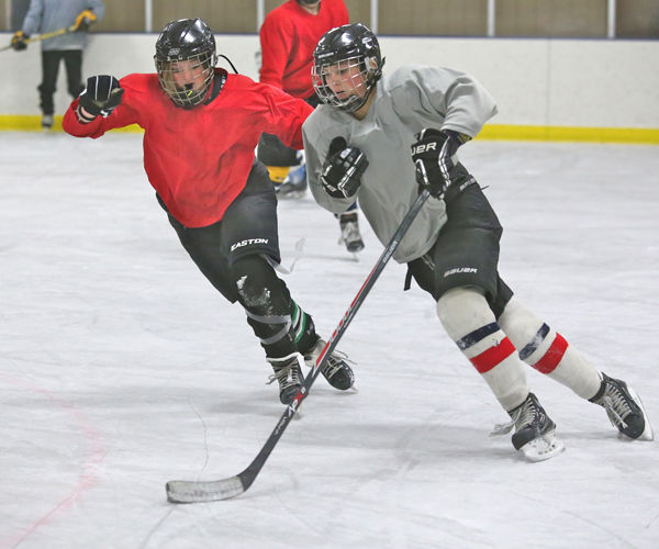 Hayward girls hockey team has ‘high expectations’ | High School | apg ...