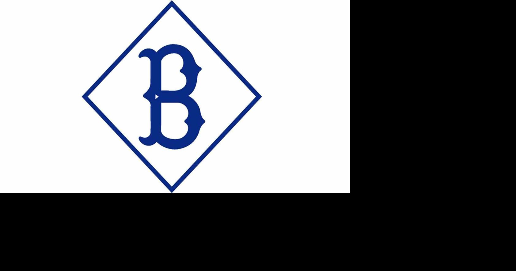 Baseball: Brill bounced by Tilden in WBA state quarterfinals