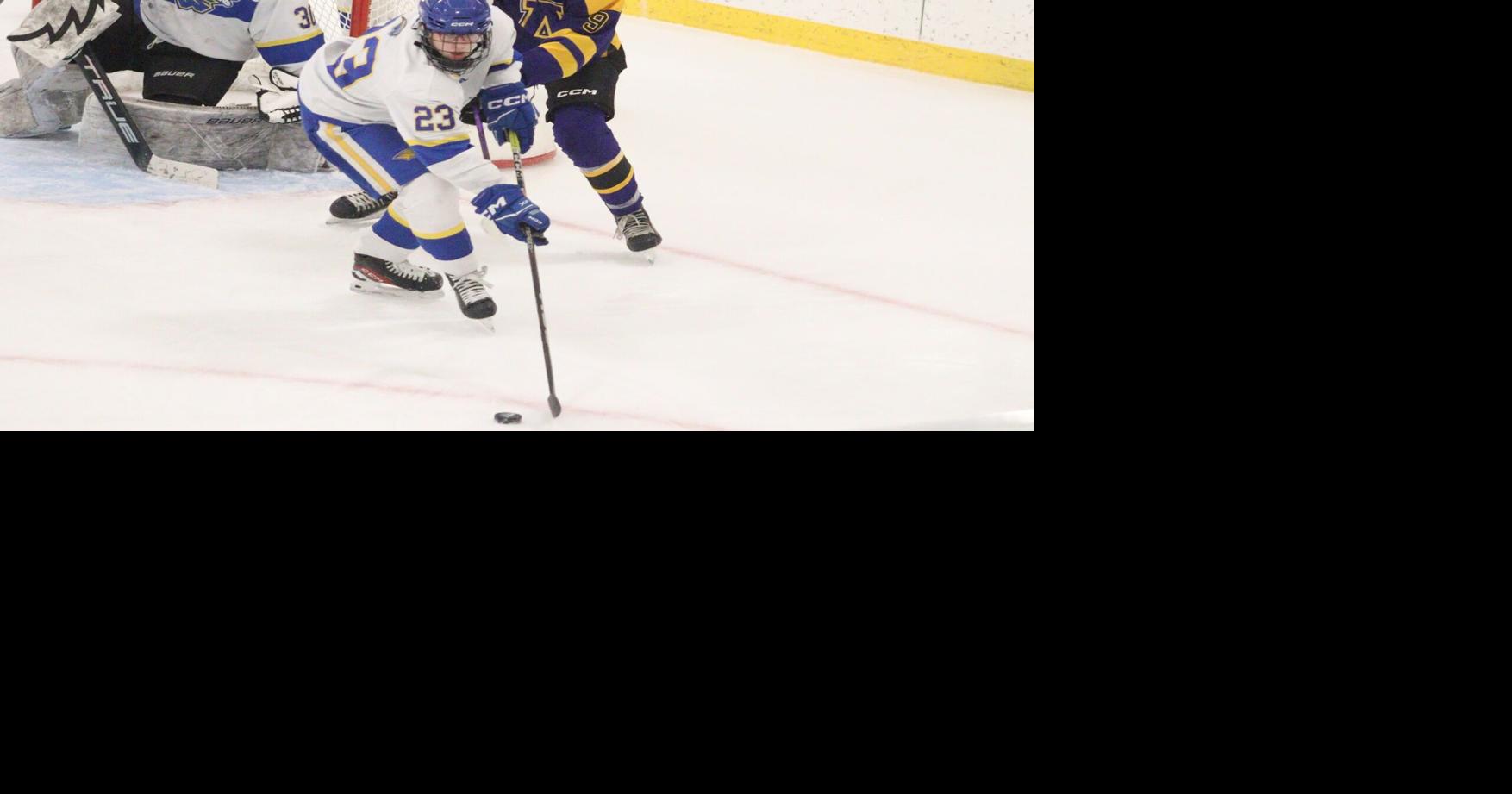 Warrior wrap-up (1-20): Rice Lake hockey earns win over Ashland ...