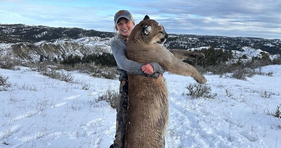 Schroeder bags a 140-pound Montana mountain lion