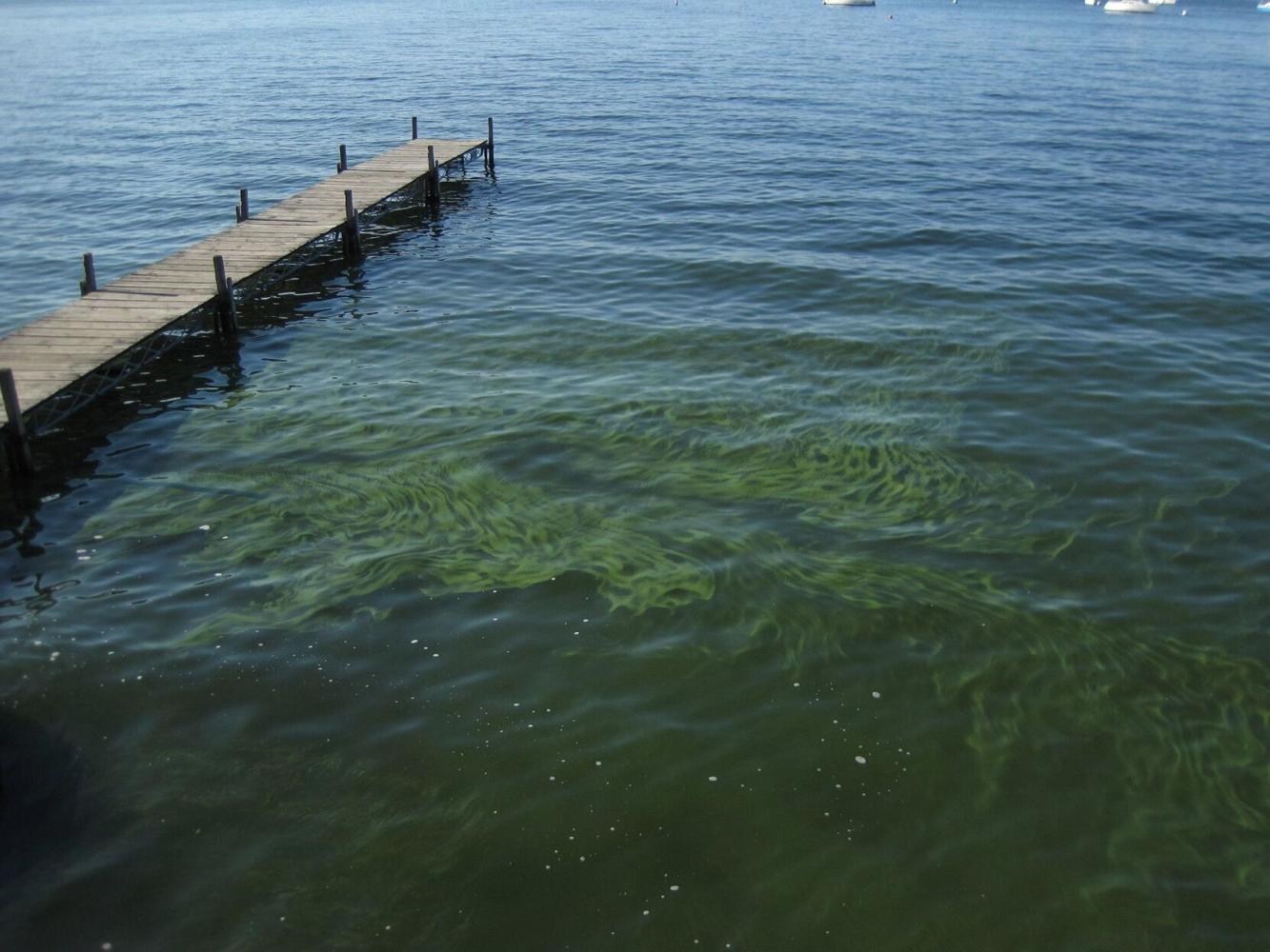 DNR Take action to reduce algae blooms in state's waterbodies Free