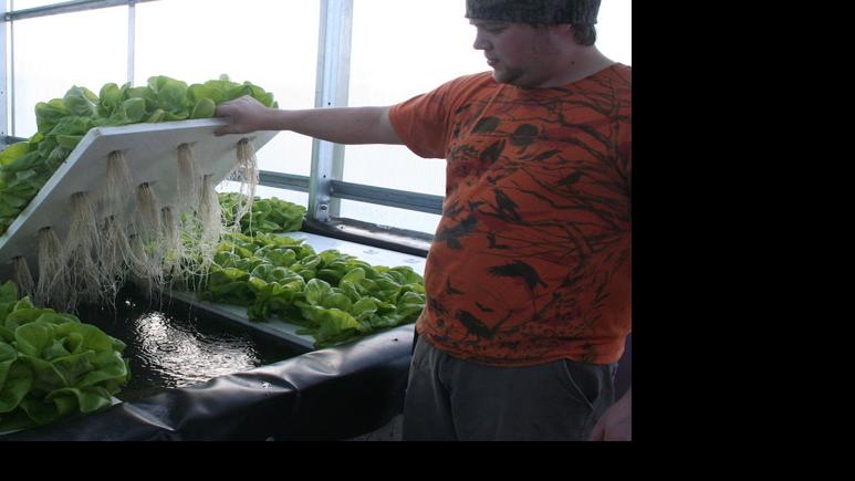 New Greenhouse Grow Hydroponic Greens Rice Lake Chronotype Apg Wi Com