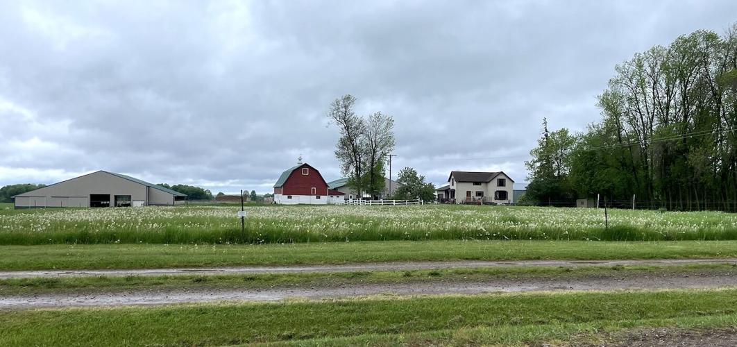 Broker Farms to host 49th annual Barron County Dairy Breakfast News