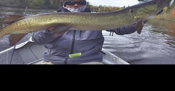 Elk river pike rod! - Outdoor Gear Forum - Outdoor Gear Forum