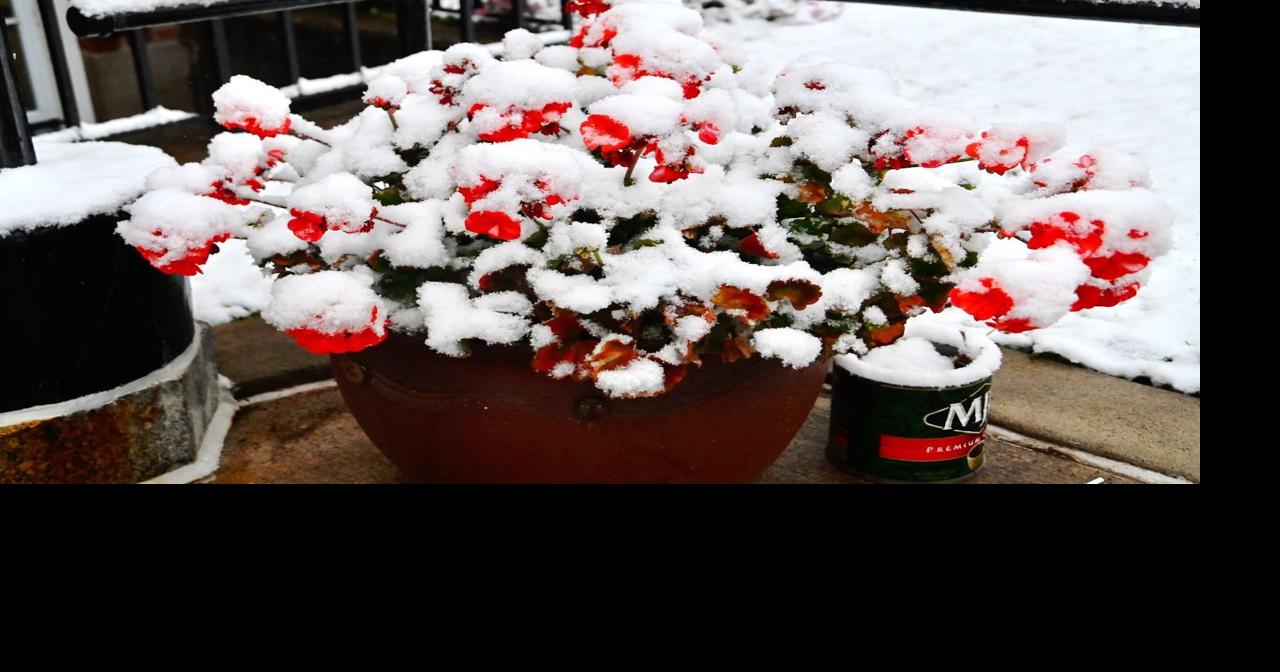 Snow in Hayward Sawyer County Record