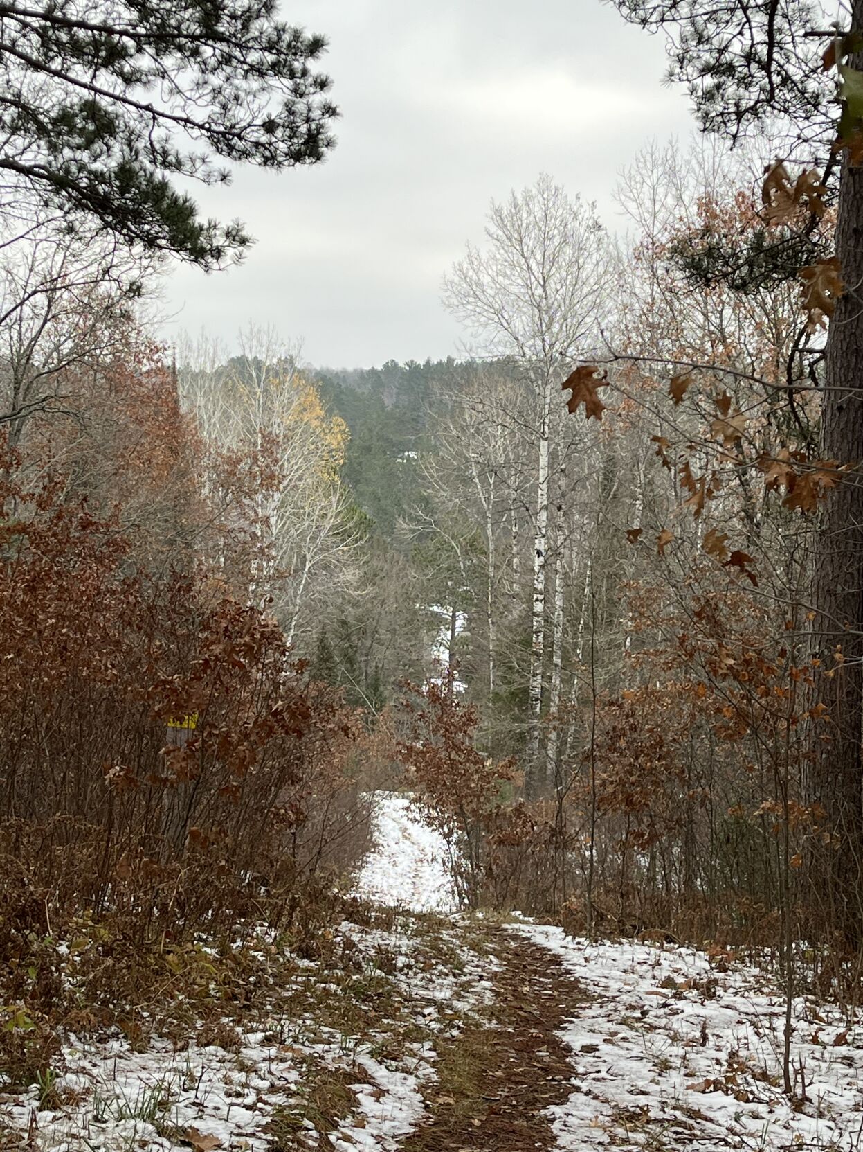 A hike through history in Brule Outdoors