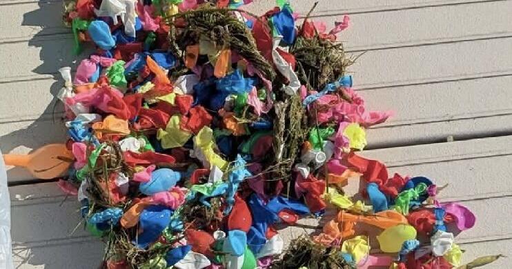 Balloons on Shell Lake cause problems