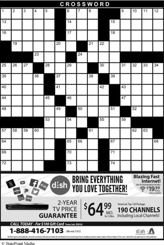 CROSSWORD PUZZLE: THE 1960S | Sawyer County Record | apg-wi.com