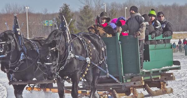 Annual sleigh and Cutter Rally brings 19th century transportation to ...