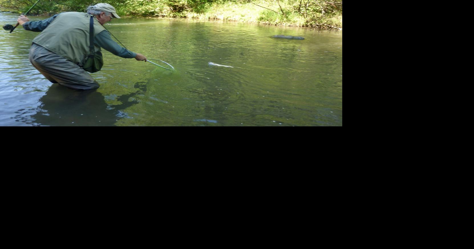 I fish trout