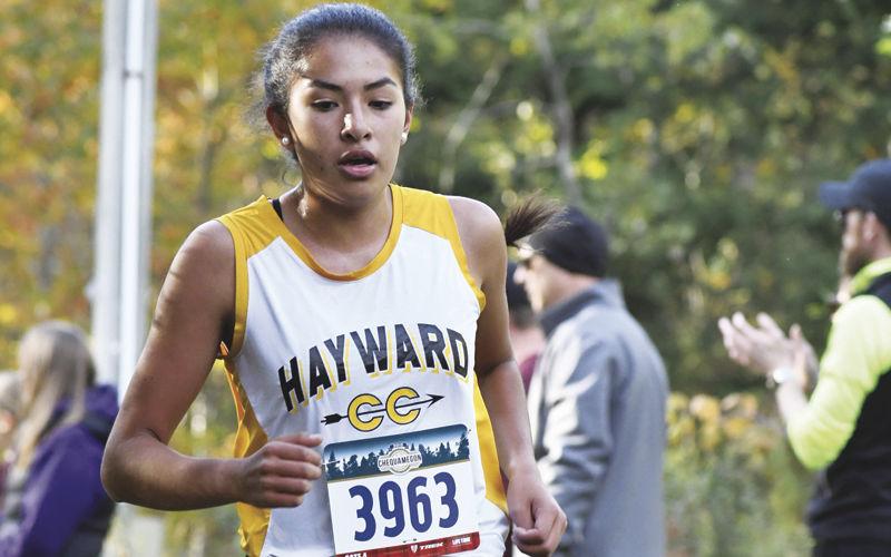 Hayward to host 15-school cross-country sectional | Free | apg-wi.com