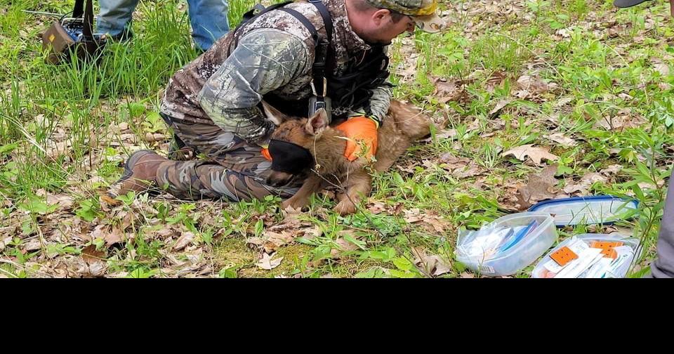 Moose Lake News Subscriber