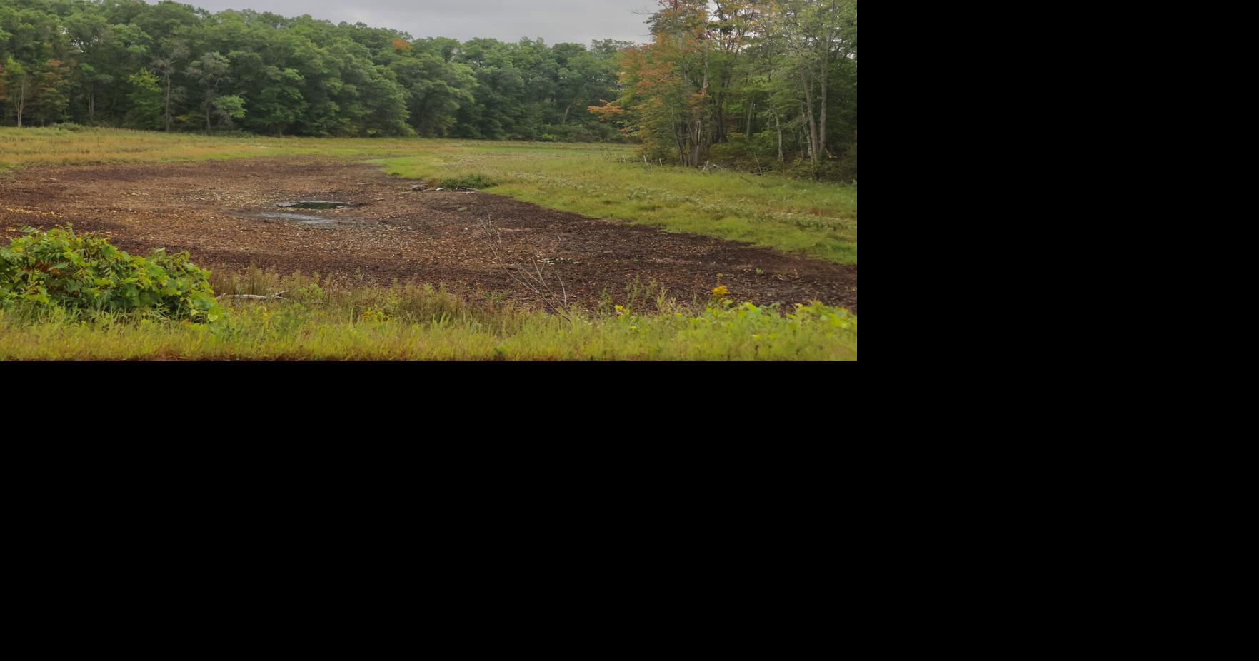 Lake almost dried up