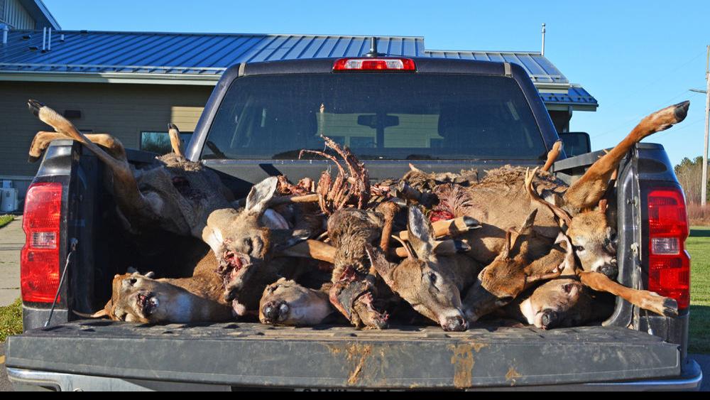Five Price County Residents Found Guilty Of Poaching Multiple Deer