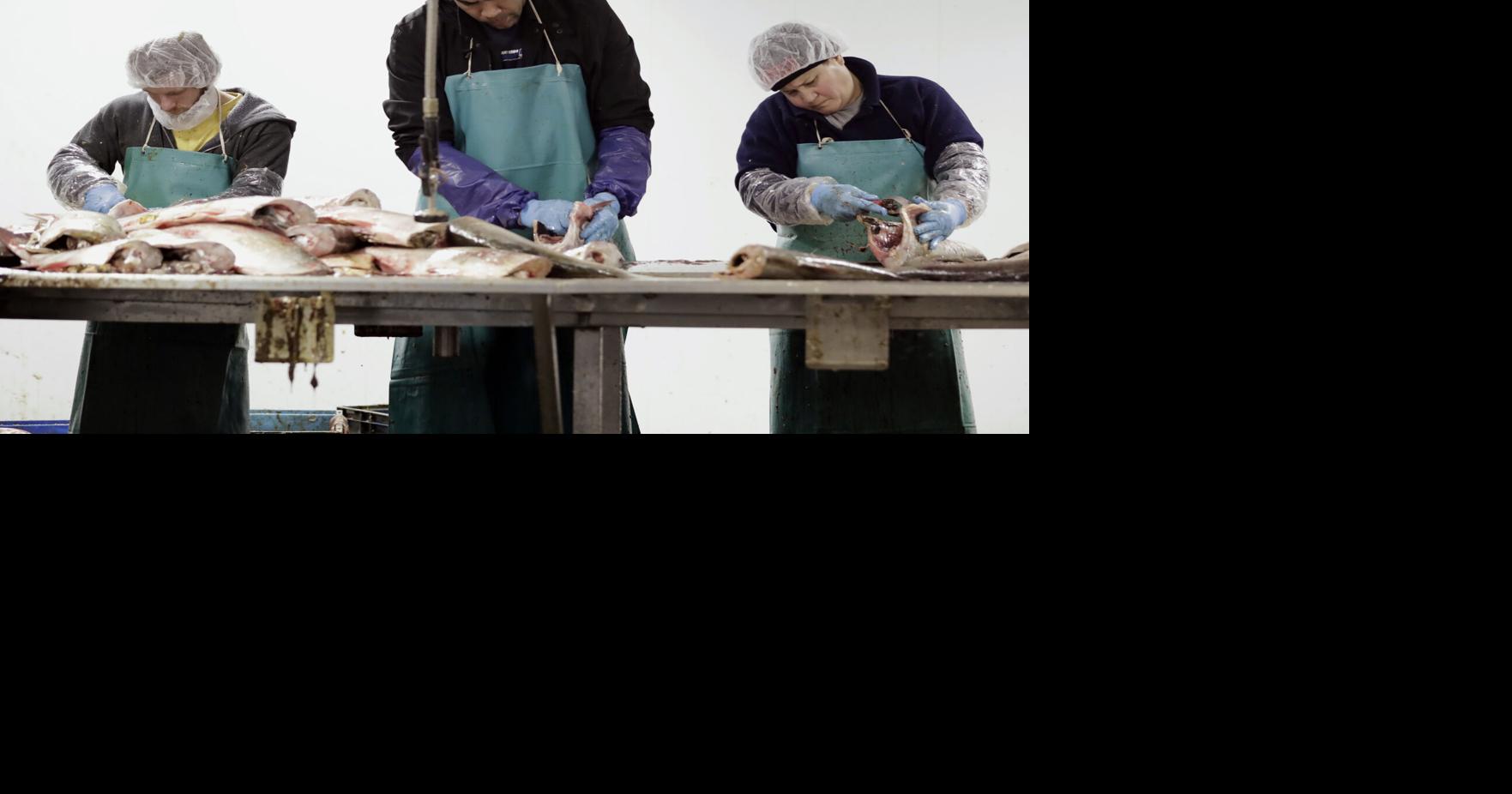 Great Lakes' $7 billion fishing industry may get a reprieve from the ...