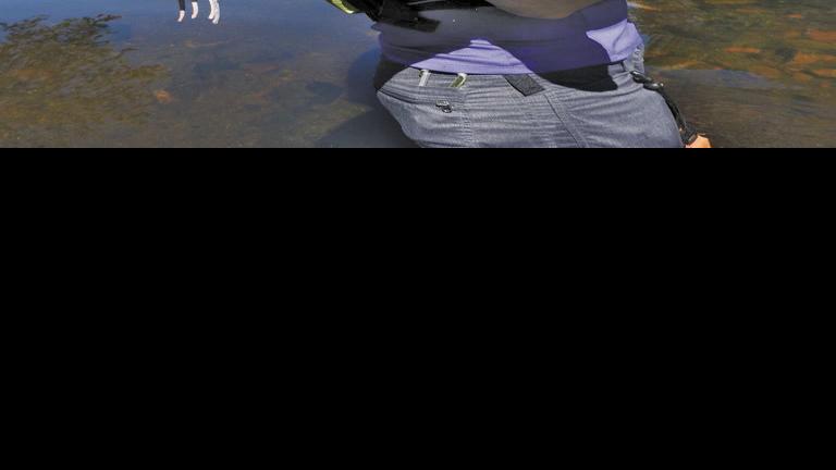 Natural Connections Fish Rodeo Dnr Captures Sturgeon On The Couderay Free Apg Wi Com