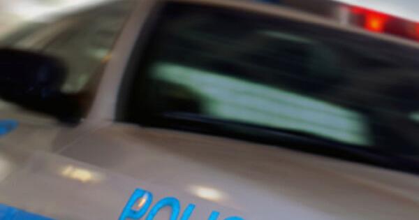 Police Logs: Skunk safari, handcuff key releases bead from nose