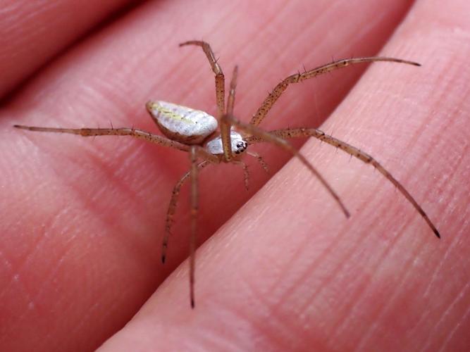 Family reunion where kids study bugs | Outdoors Family reunion where kids study bugs | Outdoors