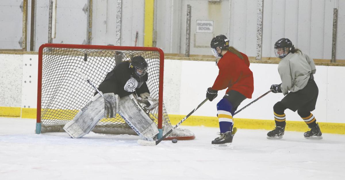 Prep girls hockey Hayward coop girls hockey, featuring two Rice Lake