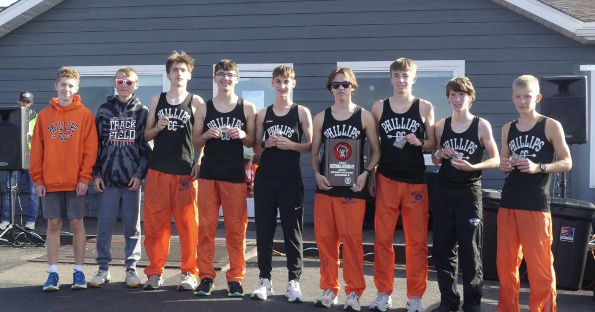 Rib Lake/Prentice and Phillips boys qualify for state meet Price