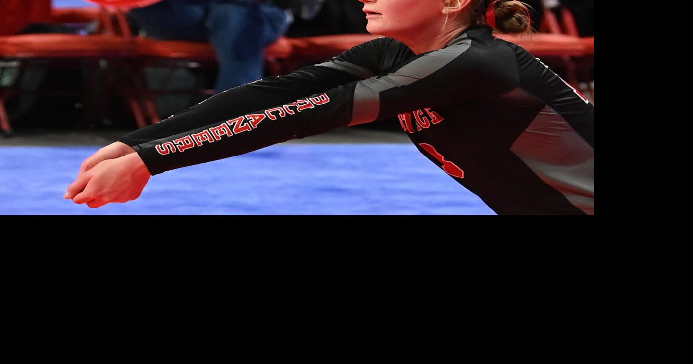 Prentice girls named all state players | Price County Review | apg-wi.com