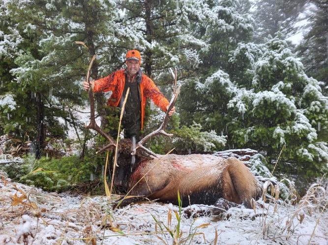 An Outdoorsman's Journal Montana Elk Hunt Part II The Bull Price