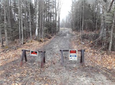 Oneida County Forester Faces Corruption Charges Subscriber Apg Wi Com