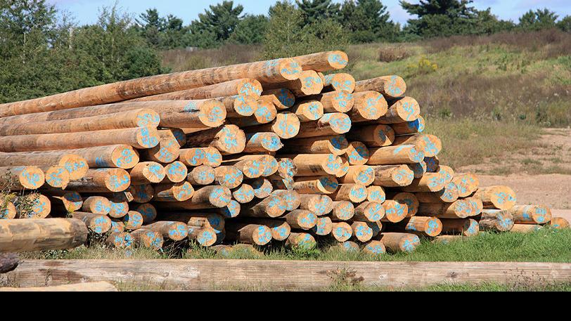 Pole Plant Operating South Of Cameron News Apg Wi Com