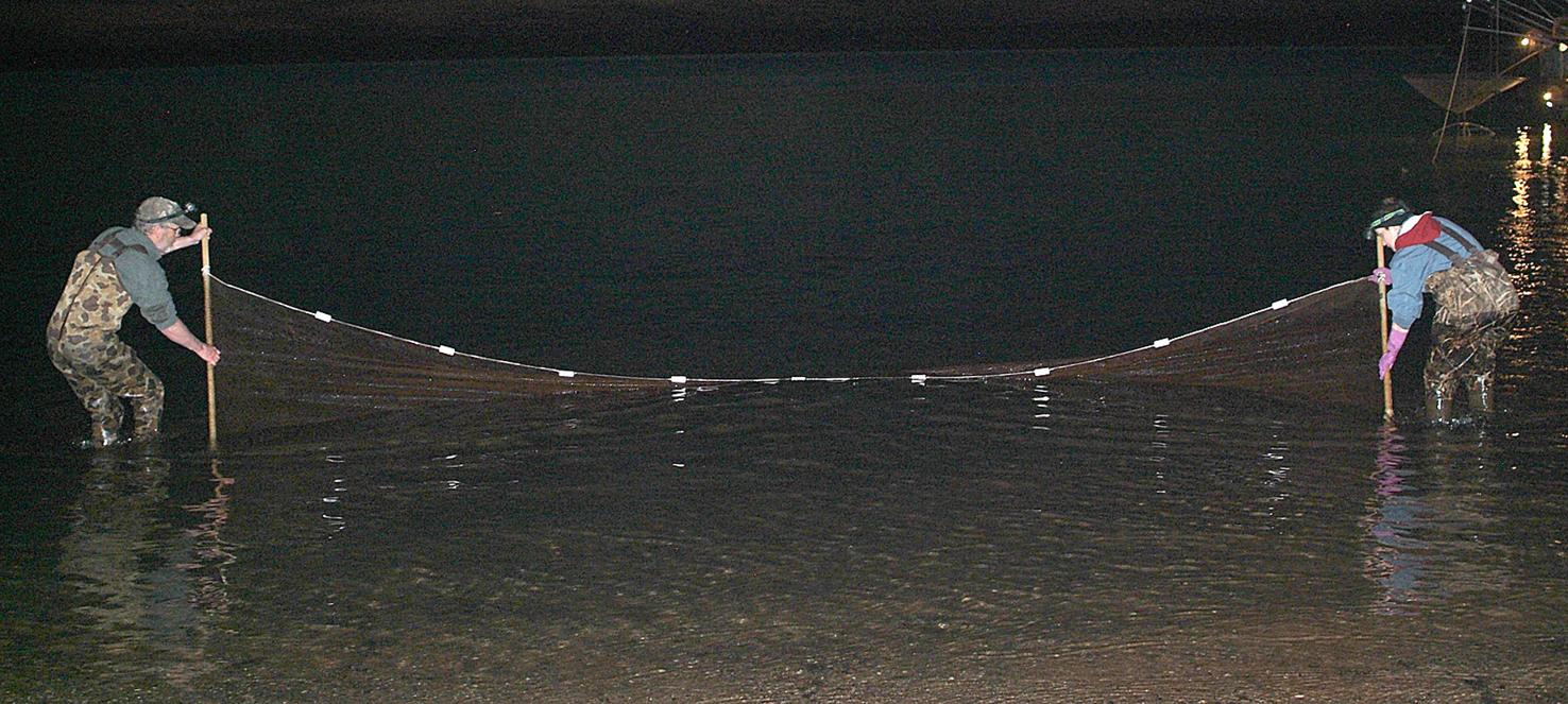 Smelt run is on in Chequamegon Bay Outdoors