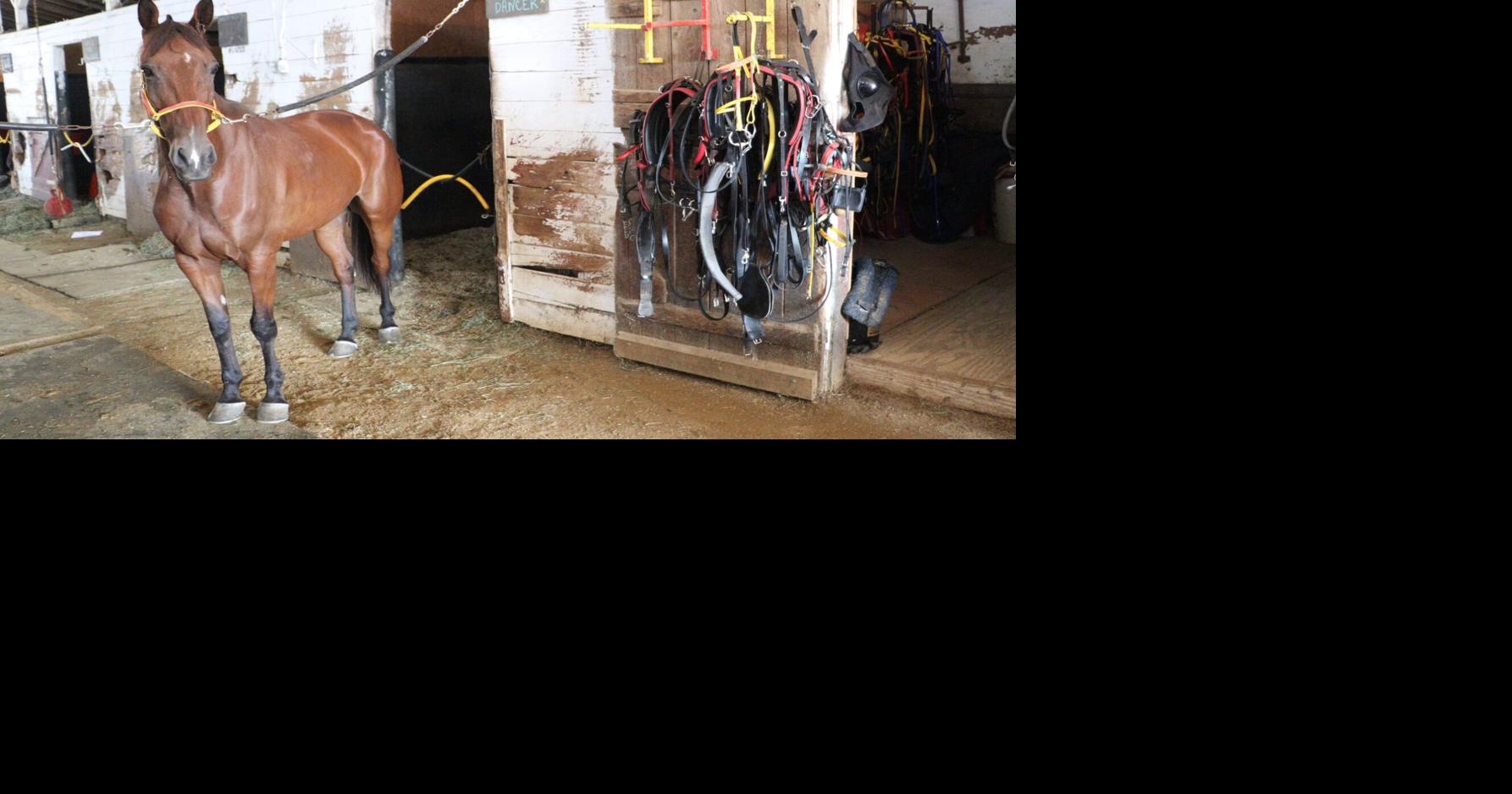 Horses sidelined: Cancellation of fair's 2 days of harness racing is unprecedented