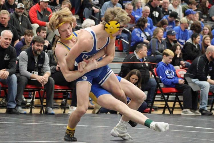 Prep wrestling Rice Lake's Drost, Lammers have season end at