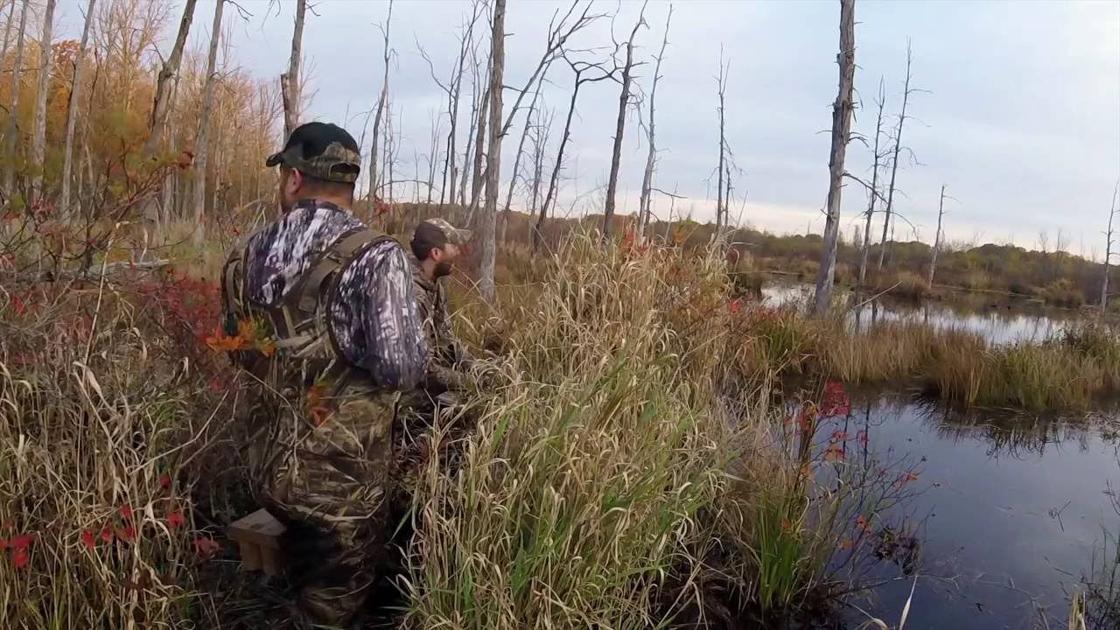 Wisconsin Will See Changes For 2020 Waterfowl Seasons Free Apg Wi Com