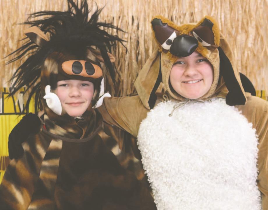 Lion King Jr Apg Wi Com