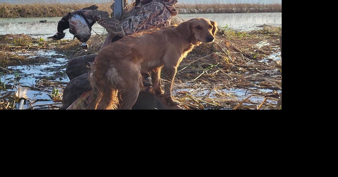 Ducking out with the boys | Outdoors | apg-wi.com