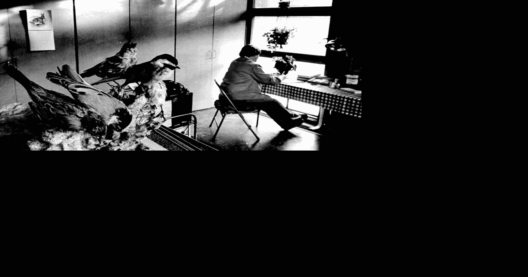 The woman behind the Cable museum Regional