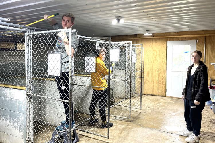 Image showcasing Seniors build raised garden beds, clean kennels and more on Community ...